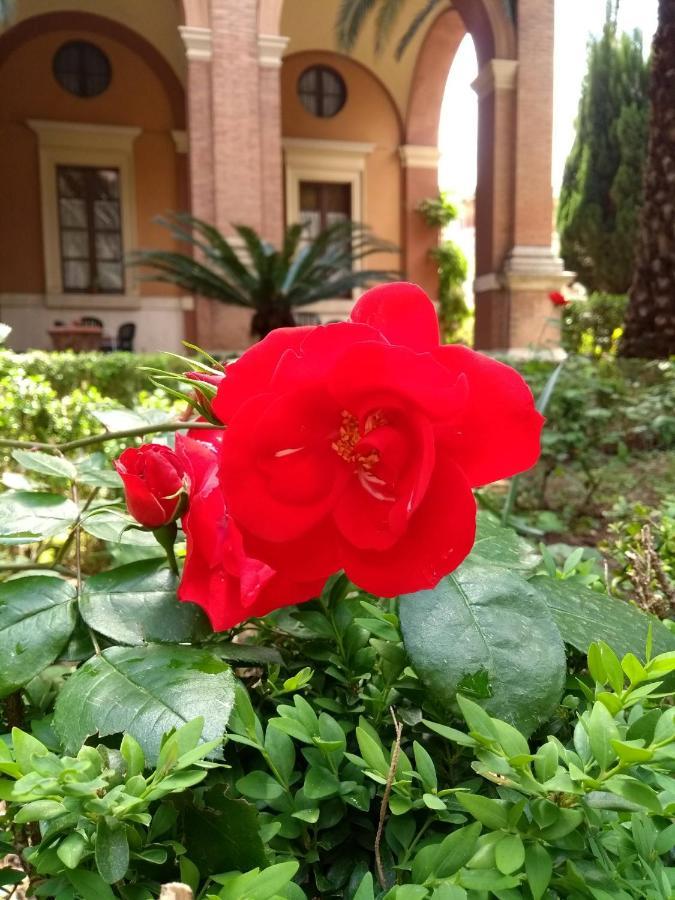 Casa S. Giuseppe Di Cluny Rom